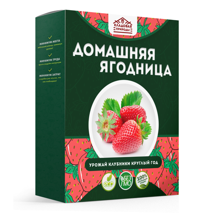 Домашняя ягодница в Калининграде